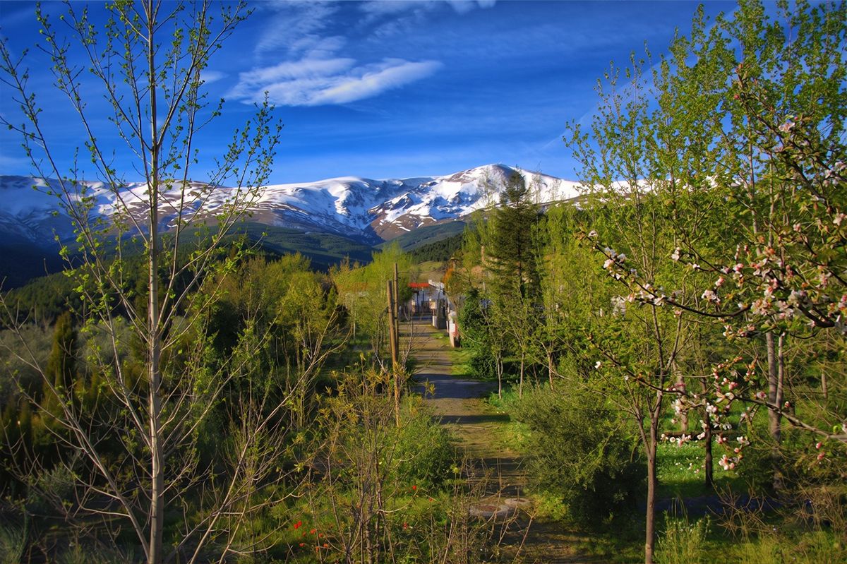 El camping en primavera, con Sierra Nevada al fondo